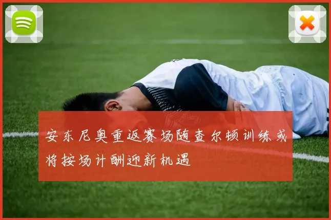 安东尼奥重返赛场随查尔顿训练或将按场计酬迎新机遇