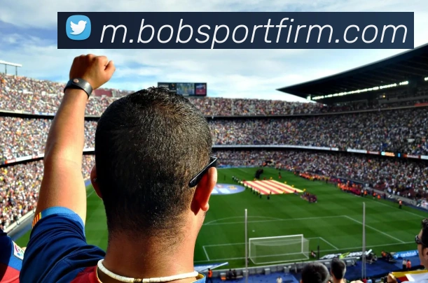 BOB体育APP 封面图